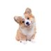 ttttcoo (@shuimowizard) Twitter profile photo ttttcoo (@shuimowizard) Twitter profile photo