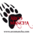 Arcomancha's profile image