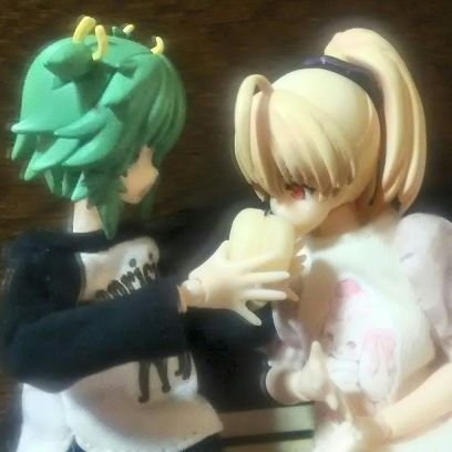 🐢たづまいが大好きな人🐱さんのプロフィール画像