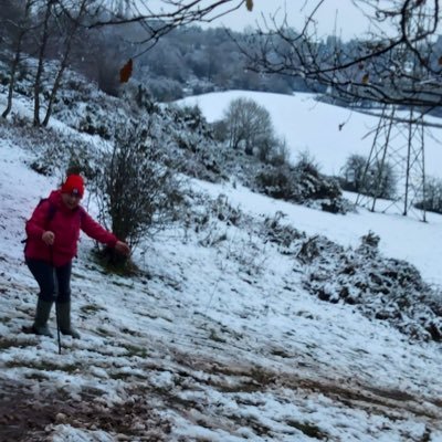 Gillywf1's profile picture. Looking for the fun in lockdown