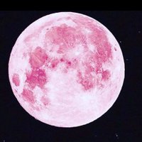 十六夜 (@q1vpdkodc2bts8g) 's Twitter Profile