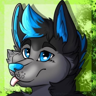 Sausagedog52's profile picture. I sometimes make videos