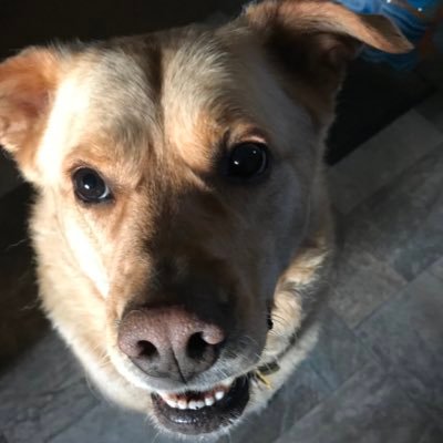 kjnoble67's profile picture. 