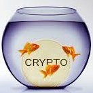 omari tsulaia (@otsulaia) 's Twitter Profile Photo