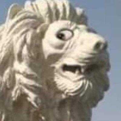 mohamme82072693's profile picture. There is always hope