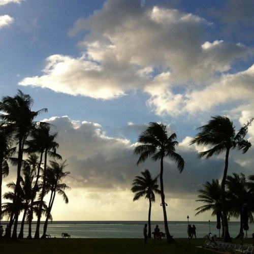 yasuhappy05's profile picture. 