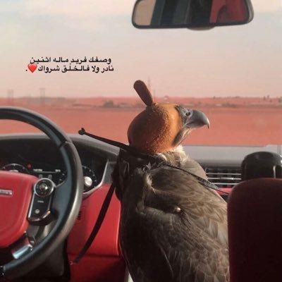 جميل أن تكون نواياك بيضاء حتى وإن البسوك سواد ظنونهم ...