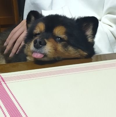 kazukitinosuke's profile picture. ショートにした日向坂46の渡辺莉奈さんが大好きです。5期生の大野愛実さん、蔵盛さん、高井さん、いずきちも気になってます。