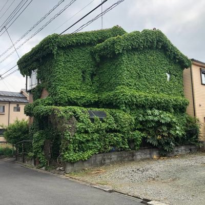 Myuzel1Myuzel's profile picture. 埼玉県で、賃貸仲介、管理、オーナー業してる40代です！セミリタイアまでやっときましたが…まだまだ道半ばです。分譲マンション→築古アパート→土地から新築→戸建て？→レンタルスペースと幅広くやりました。投資歴10年となり、収益性より資産性、ハイリスクより安定性がほしくなってきてます😊