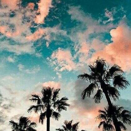 45abit1's profile picture. كاتباا❤