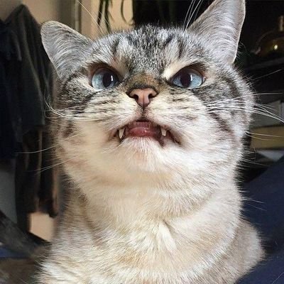jingdizhiwa6's profile picture. 井底之蛙