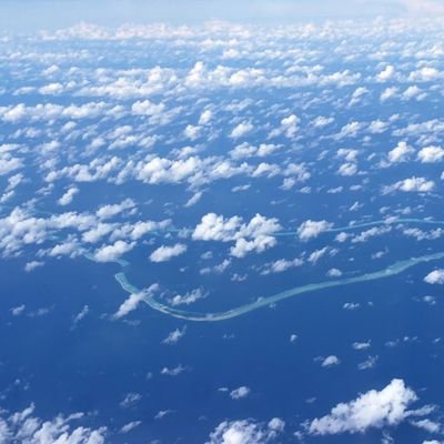 日本の行き過ぎたグローバル化を危惧している大学生です。まともな議論ができない方、
エロ系アカウントは容赦無くブロックします。