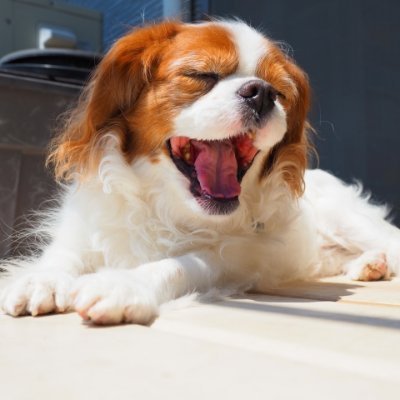 TrgWdPEay8UYWRo's profile picture. ツイッター始めました🌈　たくさんの人と繋がりたいです🌞　皆さんよろしくお願いいます🍣　#相互フォロー