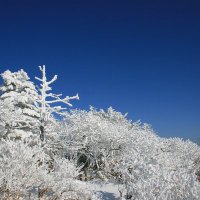 🎗️풍림작주ᴿᴴᴼᴹᴼᴼᴺᴿ0416 (@willow0516) 's Twitter Profile Photo