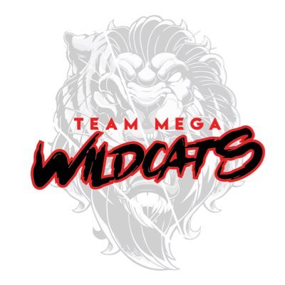 Team Mega Wildcats Basketball Program