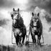 PenandPlough (@penandplough) Twitter profile photo
