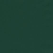 bioengineer333's profile picture. High performer👩🏻‍💻