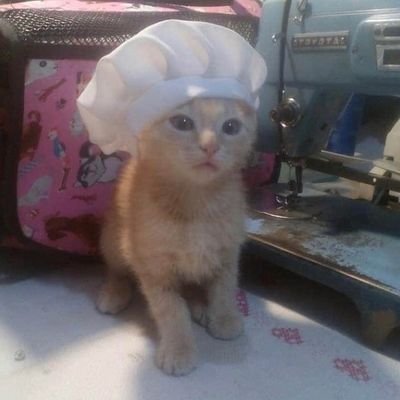 Zoran85222331's profile picture. uzivaj u zivotu svaki dan najbolje sto mozes kao da je poslednji