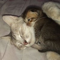 ⟭⟬ Fina⁷ ⟬⟭ (@finarmy5) 's Twitter Profile