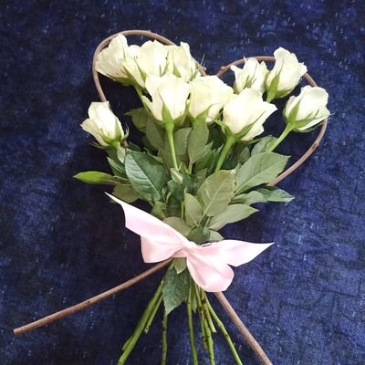 corinna_langner's profile picture. 