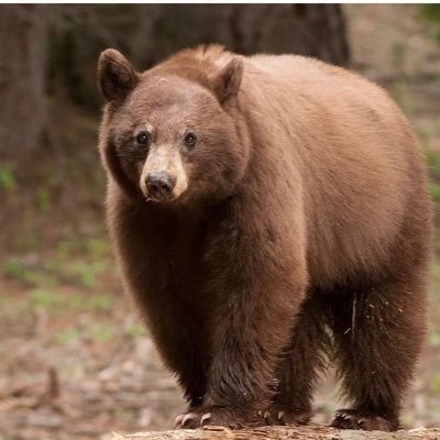 T12461017's profile picture. 