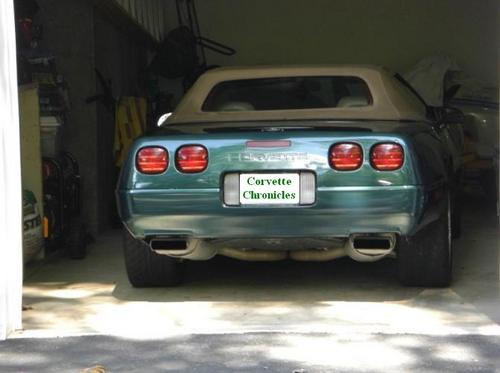 vettechronicles's profile picture. A guy who likes to drive his C4 when he has time.