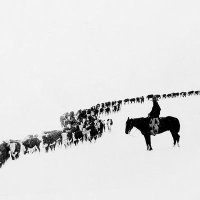 Smith Farm's (@farm_smith) 's Twitter Profile Photo