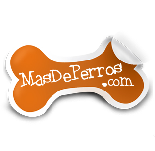 MasdePerros's profile picture. Consejos prácticos para el adiestramiento y cuidado de nuestros perros. Comparte en nuestra comunidad aquellos momentos especiales que pasas con tu mascota.