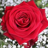 بسومه المالكي... (@7c3d31e4409341b) Twitter profile photo