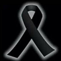 Pelin Ertürk (@pelinertrk6) Twitter profile photo