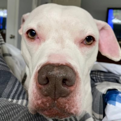 CW_1108's profile picture. 