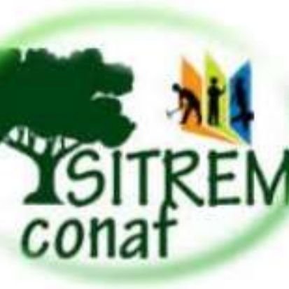 Equipo de Prensa SITREM.
Sindicato Nacional de Trabajadores de CONAF @SITREM_CONAF