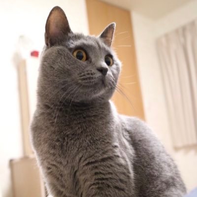 ジルさまの下僕。さんのプロフィール画像