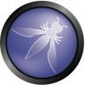 owasp_be's profile picture. 