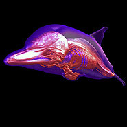 mdcl_imgng_mdx's profile picture. Use CT, MRI or PET/CT. Fascinated with the array of new modalities, solutions and technologies being developed. I've shared interesting studies on 3Dnet too