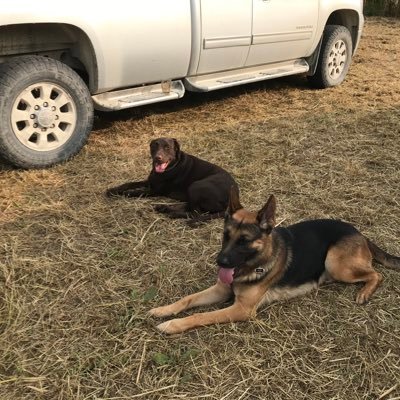 Elizabe92152129's profile picture. Honestidad y justicia