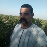 رجل صعيدي (@4djahe6pirk4qgn) 's Twitter Profile Photo