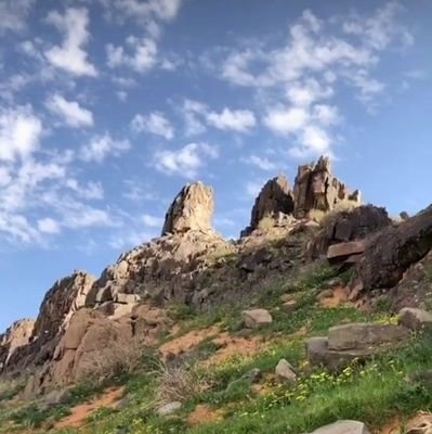 سبحان الله وبحمده عدد خلقه ورضا نفسه وزنة عرشه ومداد كلماته 🌴🌴