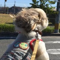 🐶さだはるのじゆう帳🐾(@sadablo2021) 's Twitter Profile Photo