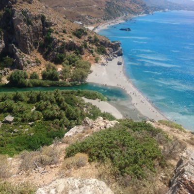 AmiensRif's profile picture. 