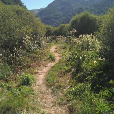 gueiskonian's profile picture. 