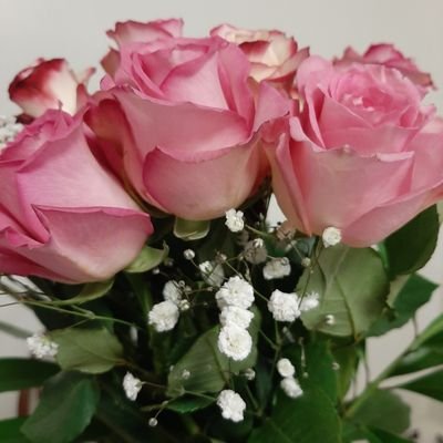 dindi74's profile picture. 