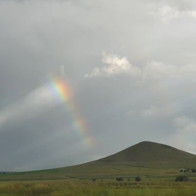 4suretoday1's profile picture. 