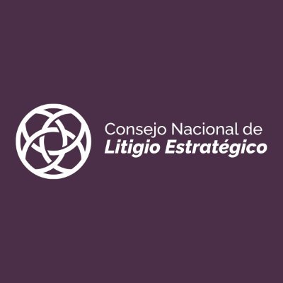 Defendemos y promovemos los DDHH, la democracia, legalidad y competitividad de México, impulsando procesos de trascendencia ante los órganos jurisdiccionales.