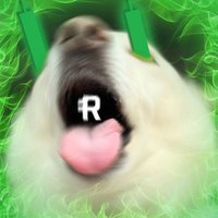 Fuzzy Snoot RSR.eth 2xYour.eth(@RsrFren) 's Twitter Profile Photo