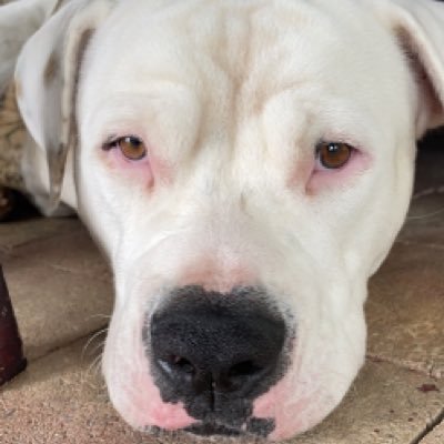 Wiggy_Snr's profile picture. 