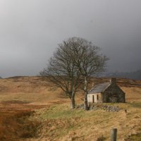 caledon.rose (@caledonrose) Twitter profile photo