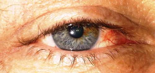 ESuojanen's profile picture. Father, Husband, Coach & Head Cheerleader for Plumbers of Suojanen Enterprises Inc., & The Pampering Plumber.  We're good people who can be trusted.