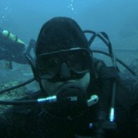 Patriot Dog (@patriotscott2) 's Twitter Profile