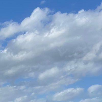 AG12161's profile picture. Yolo